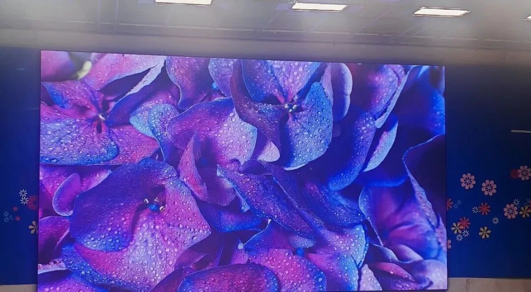 小鸟科技羽控品牌LED显示屏臻选案例