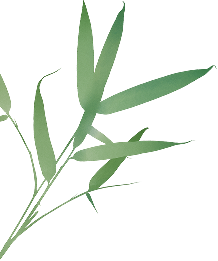 海佳彩亮智慧显示方案，让景区“吸睛又吸金”